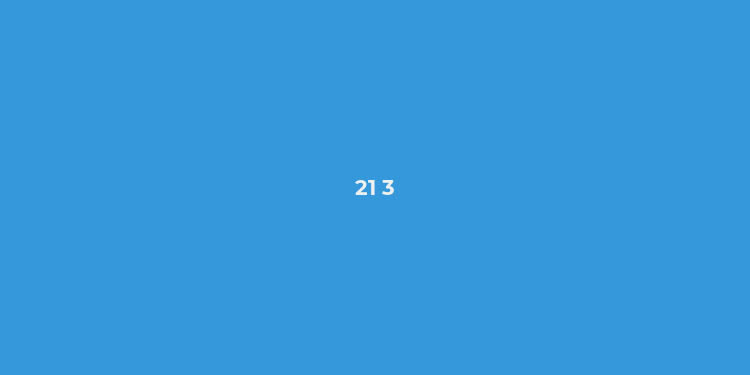 21 3