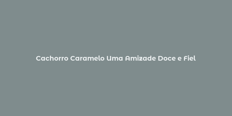 Cachorro Caramelo Uma Amizade Doce e Fiel