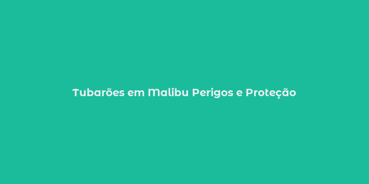 Tubarões em Malibu Perigos e Proteção