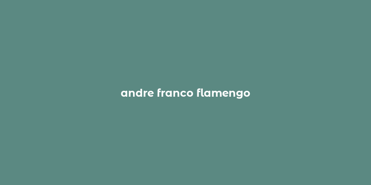 andre franco flamengo