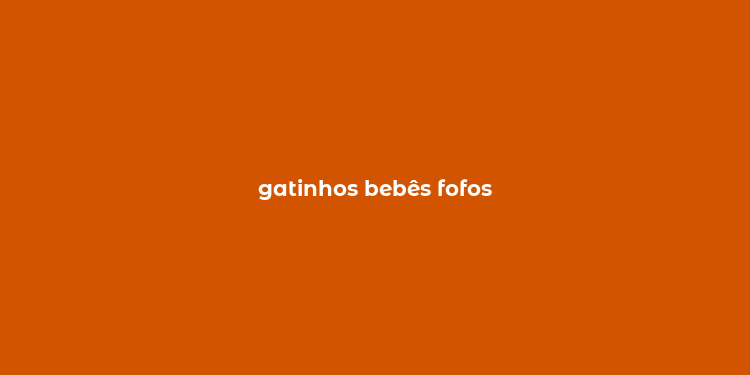 gatinhos bebês fofos