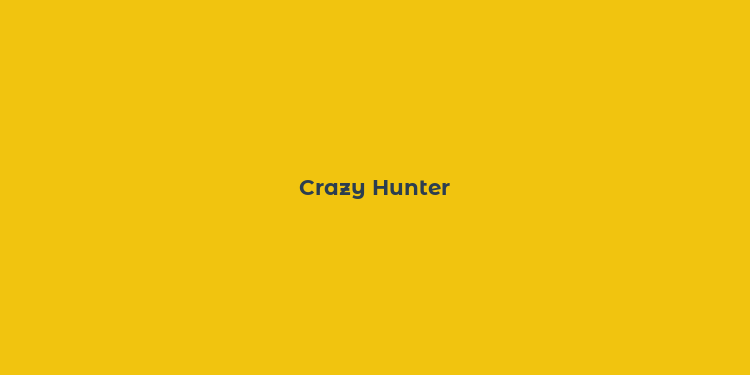 Crazy Hunter