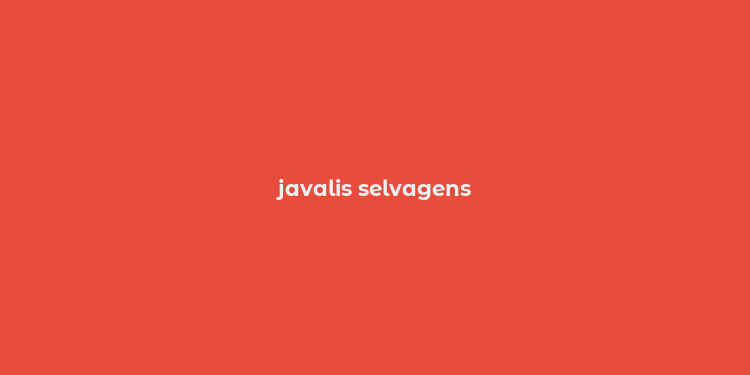 javalis selvagens