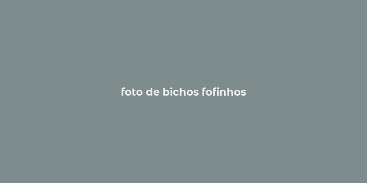 foto de bichos fofinhos