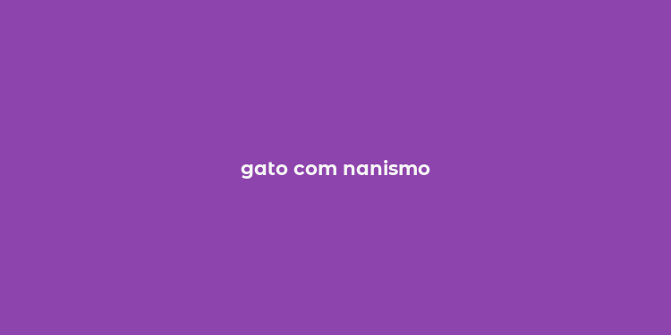 gato com nanismo