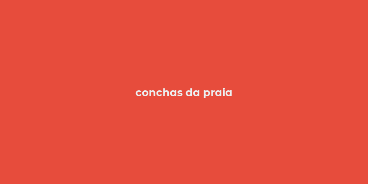 conchas da praia