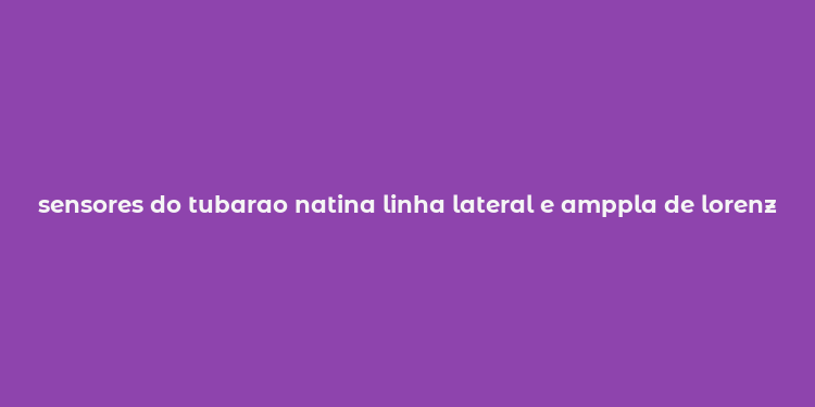 sensores do tubarao natina linha lateral e amppla de lorenzini