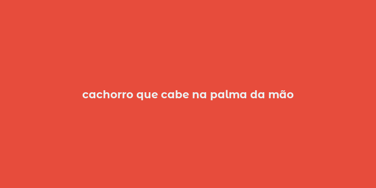 cachorro que cabe na palma da mão