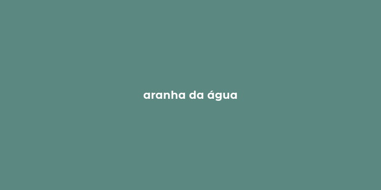 aranha da água