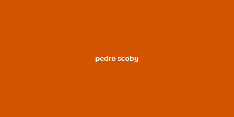 pedro scoby