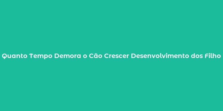 Quanto Tempo Demora o Cão Crescer Desenvolvimento dos Filhotes