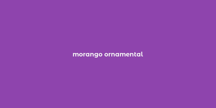 morango ornamental