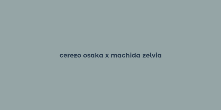 cerezo osaka x machida zelvia