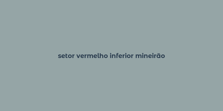 setor vermelho inferior mineirão