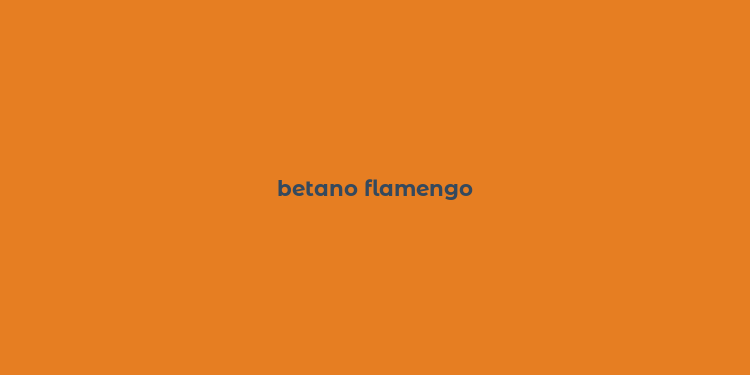 betano flamengo