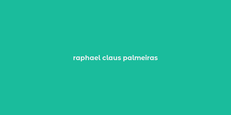 raphael claus palmeiras