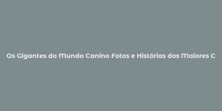 Os Gigantes do Mundo Canino Fotos e Histórias dos Maiores Cães