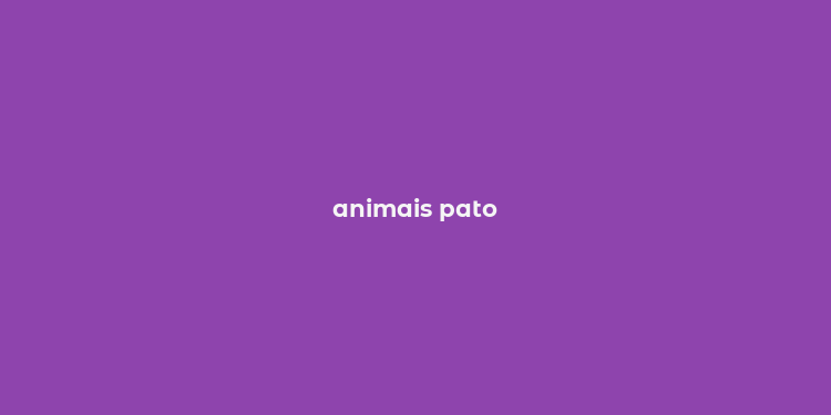 animais pato