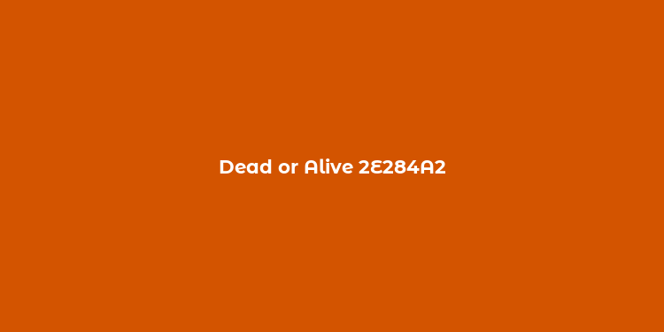 Dead or Alive 2E284A2