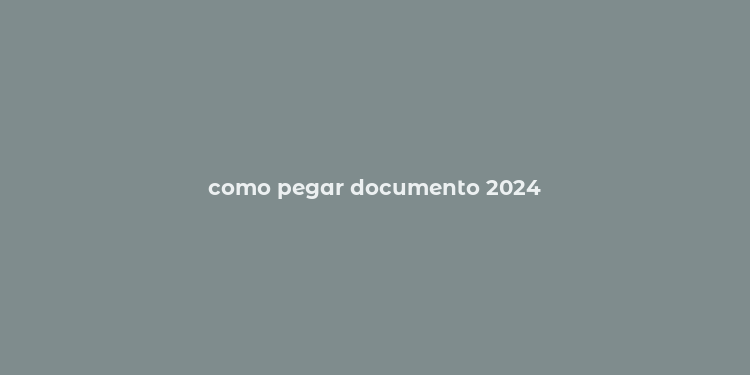 como pegar documento 2024