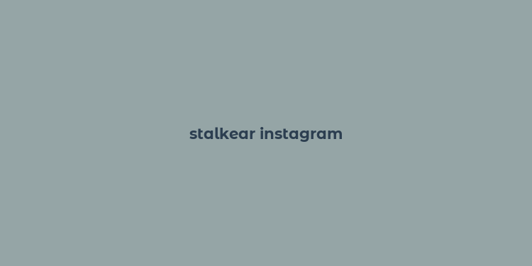 stalkear instagram