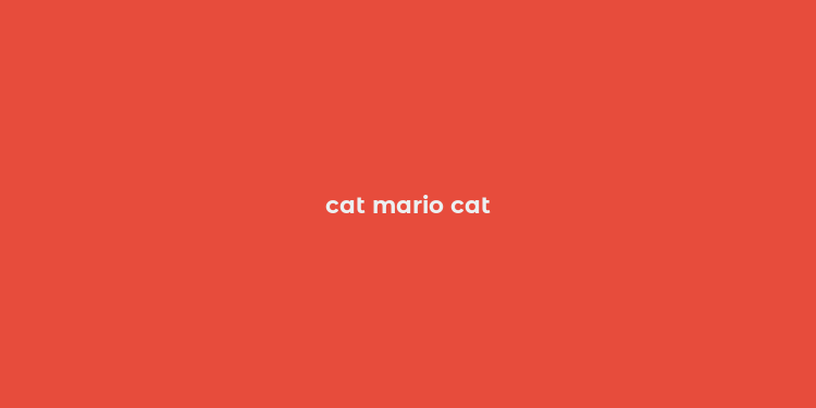 cat mario cat