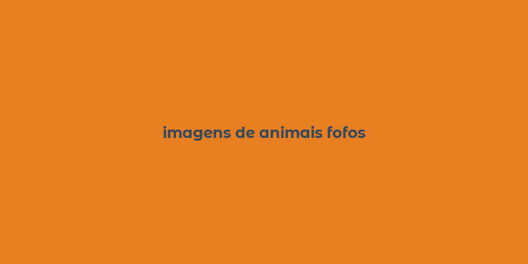 imagens de animais fofos