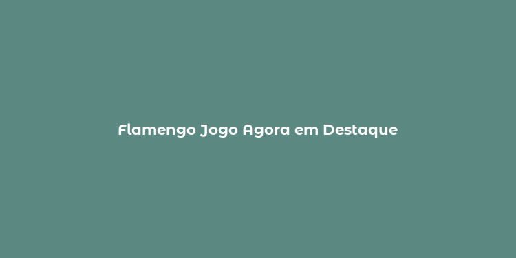 Flamengo Jogo Agora em Destaque