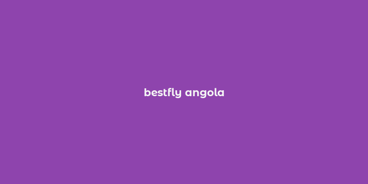 bestfly angola