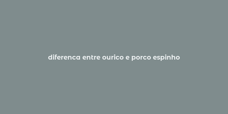 diferenca entre ourico e porco espinho