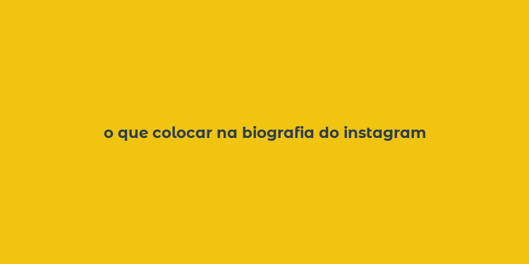 o que colocar na biografia do instagram