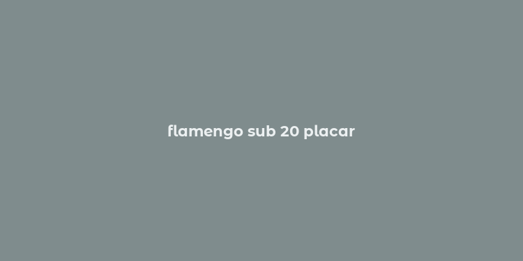 flamengo sub 20 placar