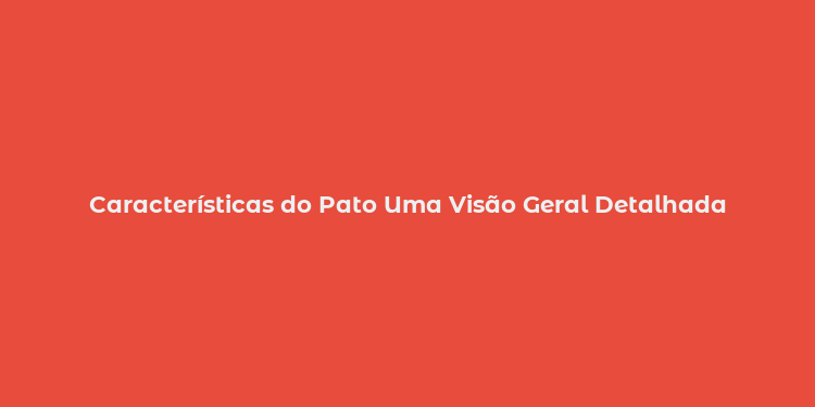 Características do Pato Uma Visão Geral Detalhada