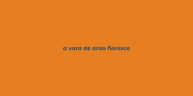 a vara de arao floresce