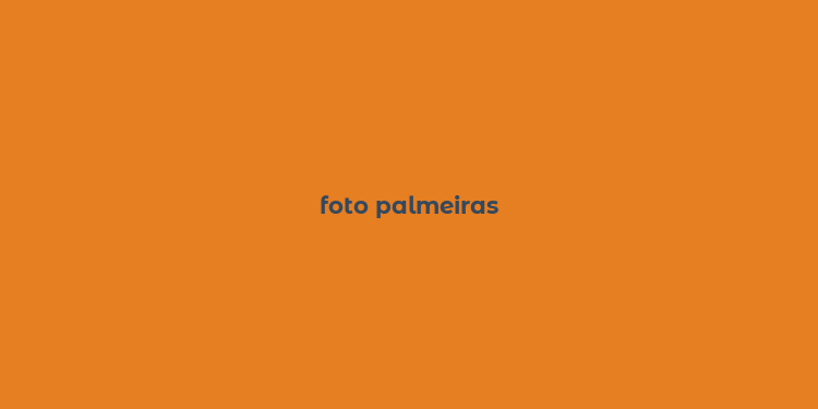 foto palmeiras