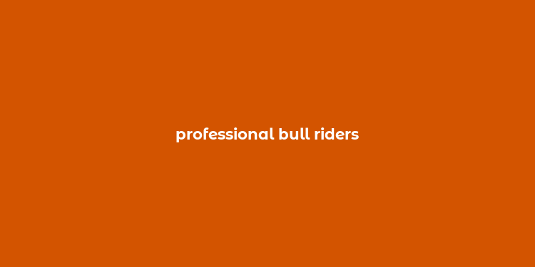 professional bull riders