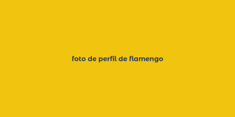 foto de perfil de flamengo