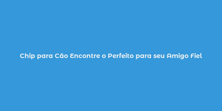 Chip para Cão Encontre o Perfeito para seu Amigo Fiel