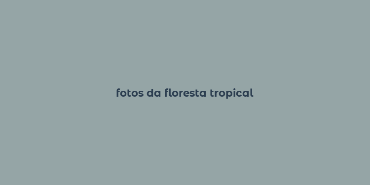 fotos da floresta tropical