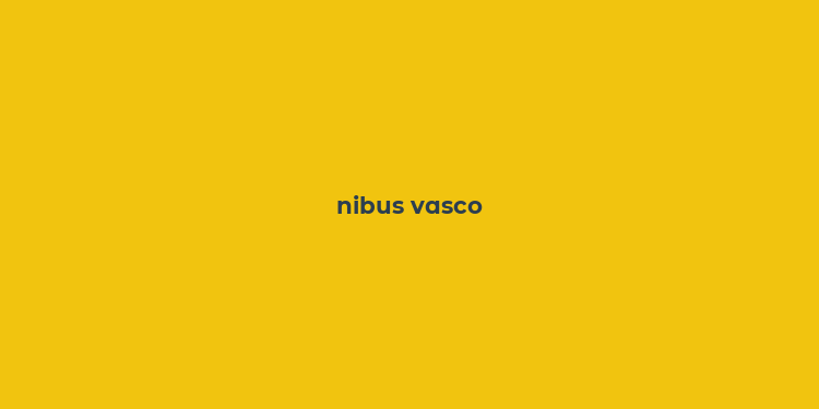 nibus vasco