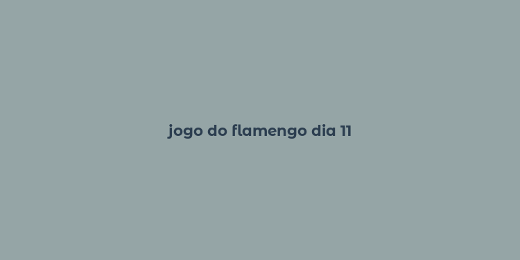 jogo do flamengo dia 11