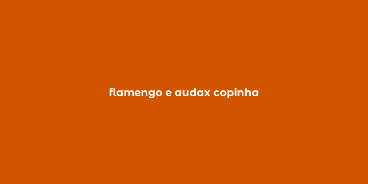 flamengo e audax copinha