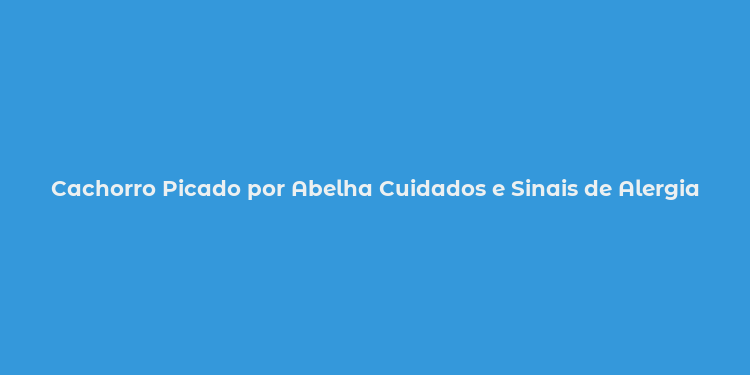 Cachorro Picado por Abelha Cuidados e Sinais de Alergia