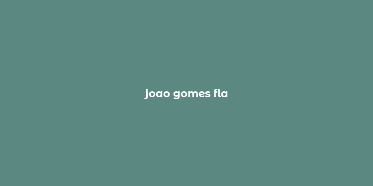 joao gomes fla