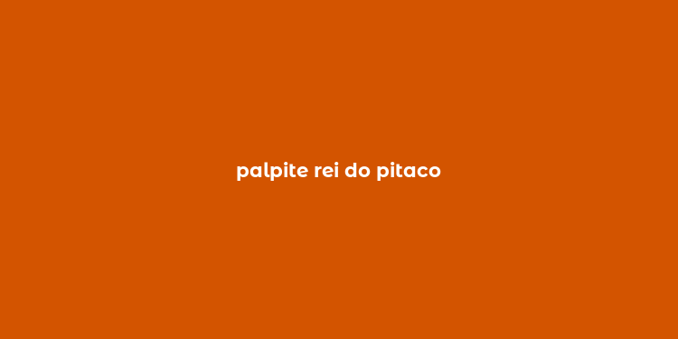 palpite rei do pitaco