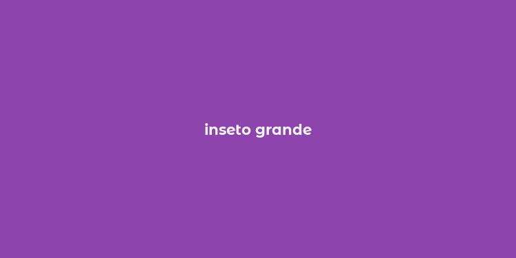 inseto grande