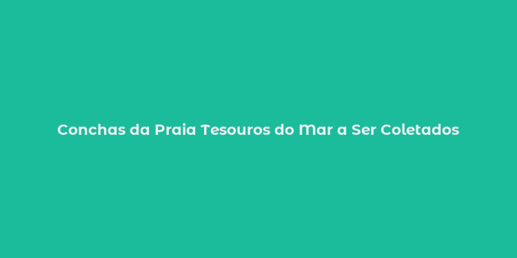 Conchas da Praia Tesouros do Mar a Ser Coletados