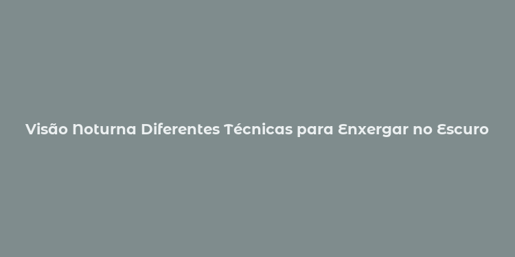 Visão Noturna Diferentes Técnicas para Enxergar no Escuro