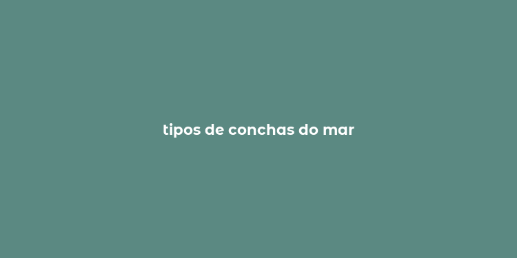 tipos de conchas do mar