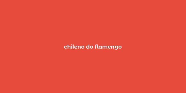 chileno do flamengo